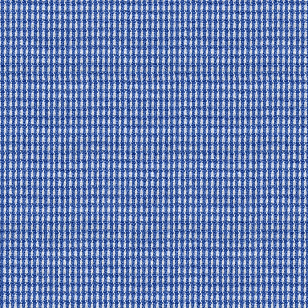 White/ Blue Check